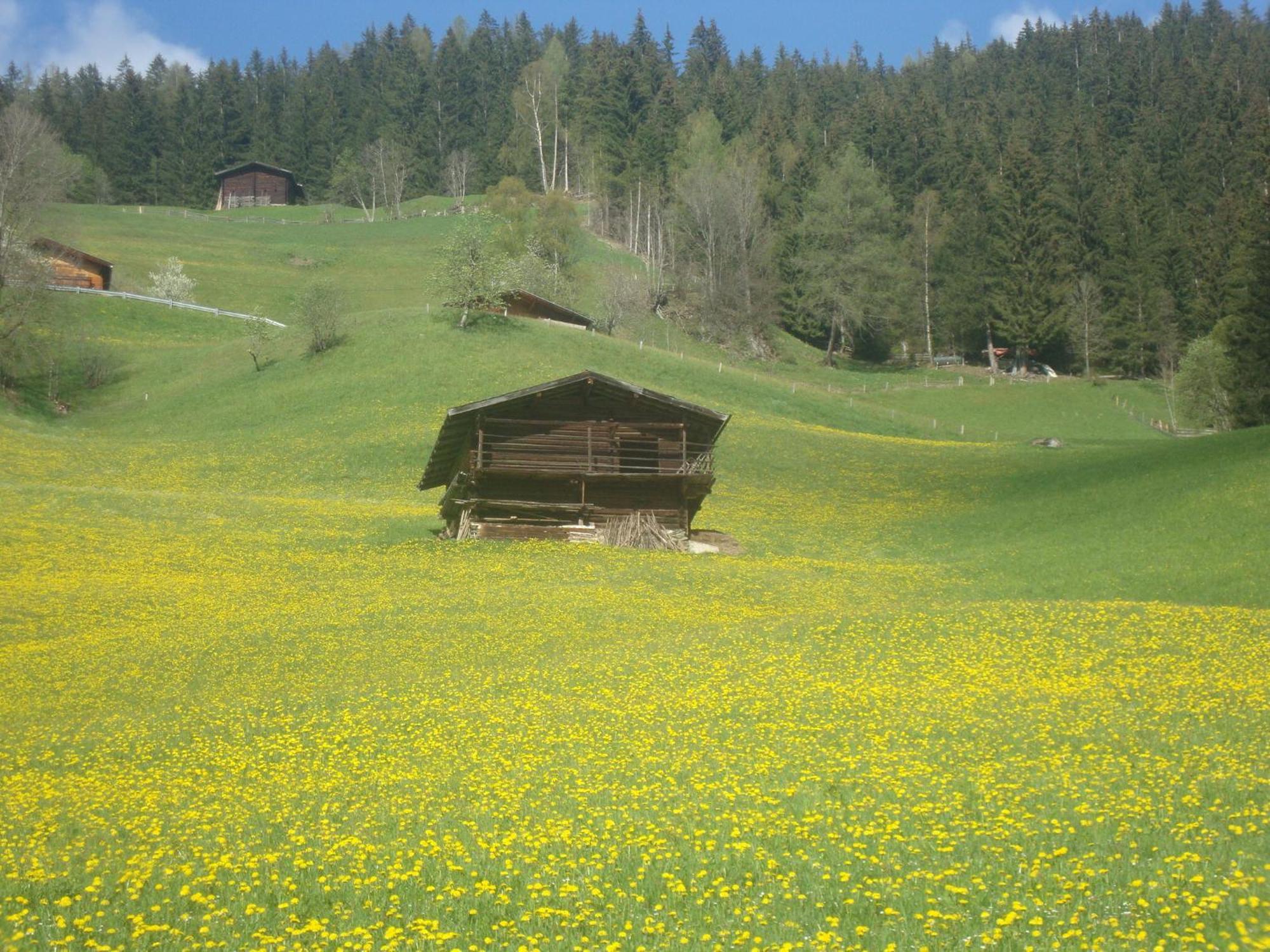 Apart Heim Fügen Buitenkant foto